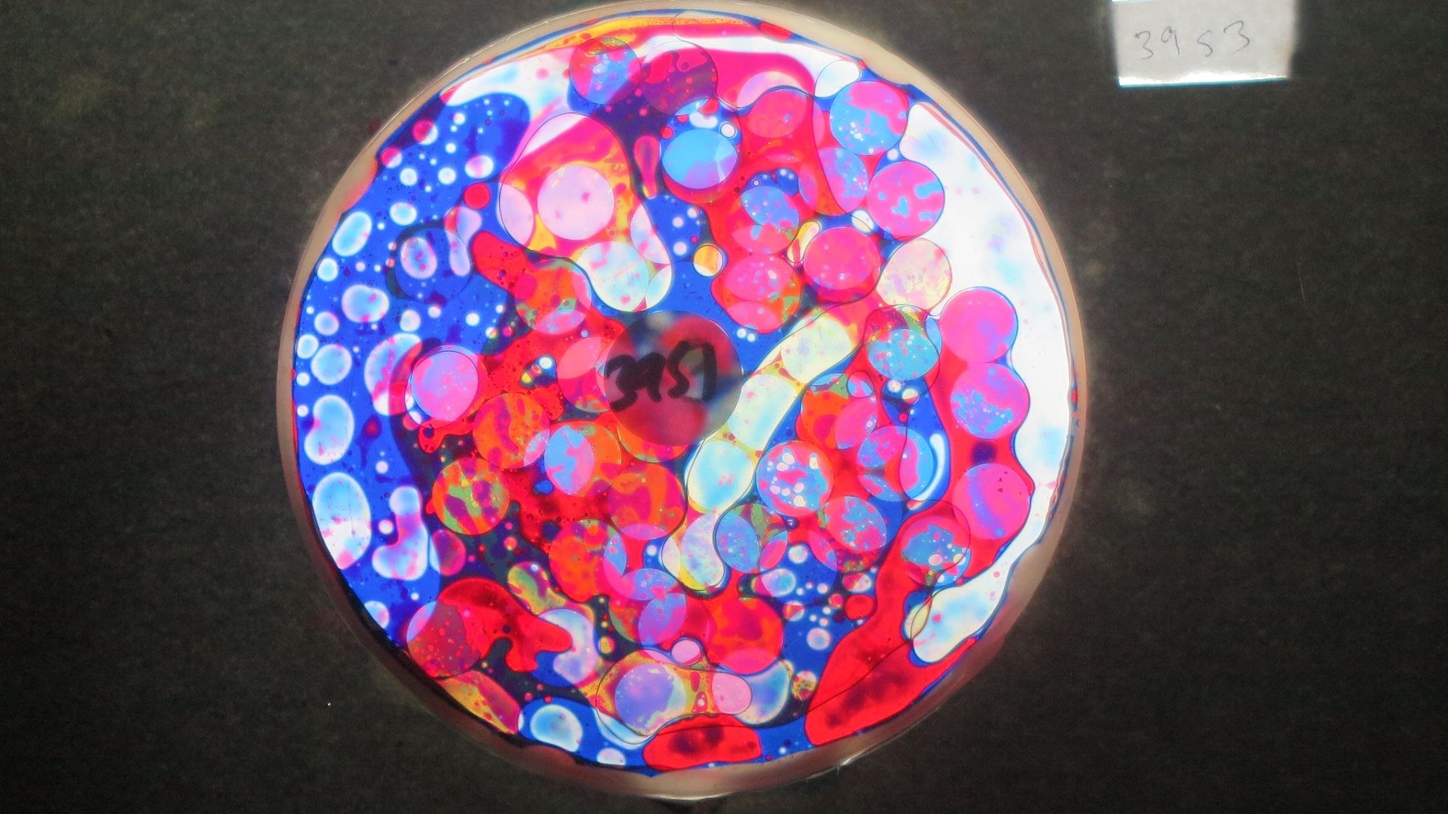 BV3953 bubble vision oil wheel